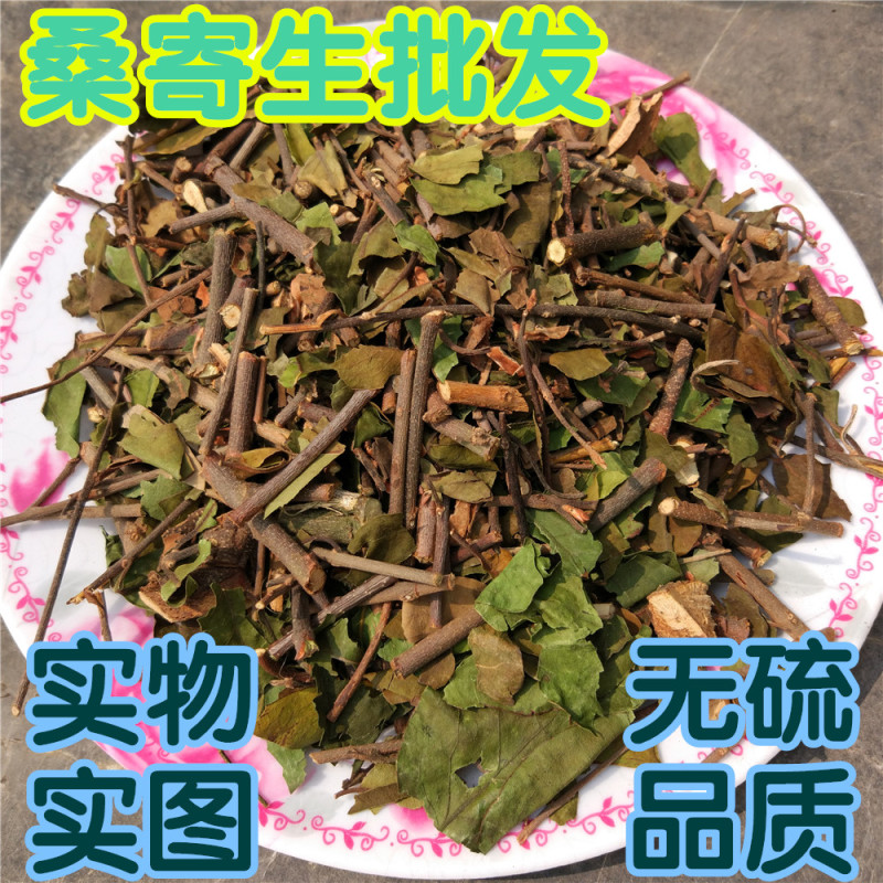 天堂漓江桑寄生中药材广西桂林正品野生寄生