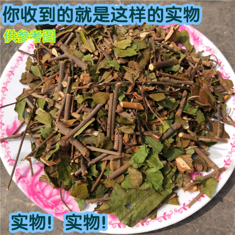 天堂漓江桑寄生中药材广西桂林正品野生寄生
