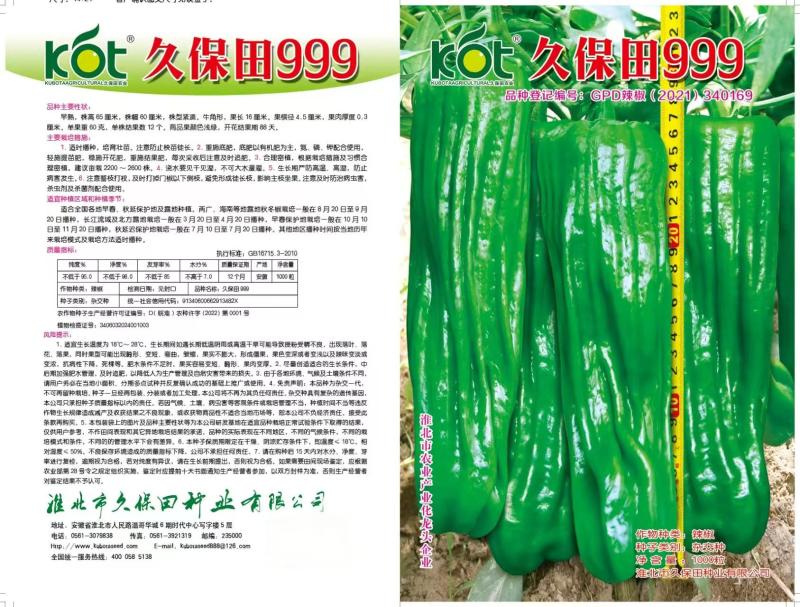 久保田999辣椒种子早熟大果薄皮味辣绿皮坐果能力强