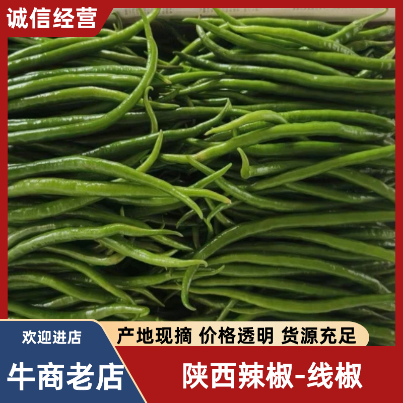 陕西辣椒-线椒鲜辣椒产地发货量大从优欢迎来电