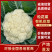 陕西三原菜花-松花菜产地发货量大从优欢迎来电