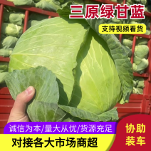 陕西咸阳-甘蓝-莲花白产地发货量大从优欢迎来电