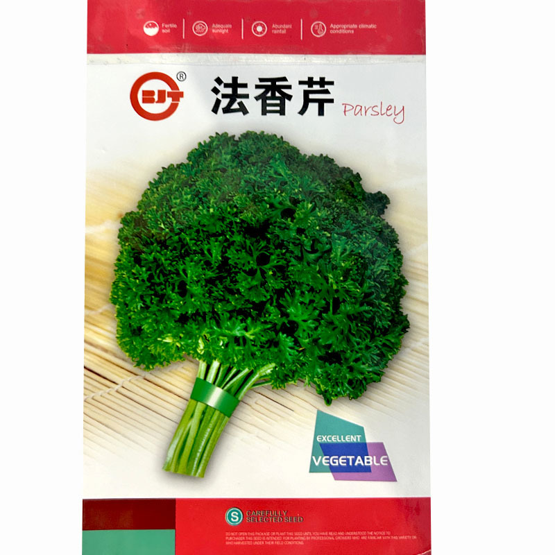 法香芹菜种子欧芹种子皱叶菜香味浓洋香芹四季种植