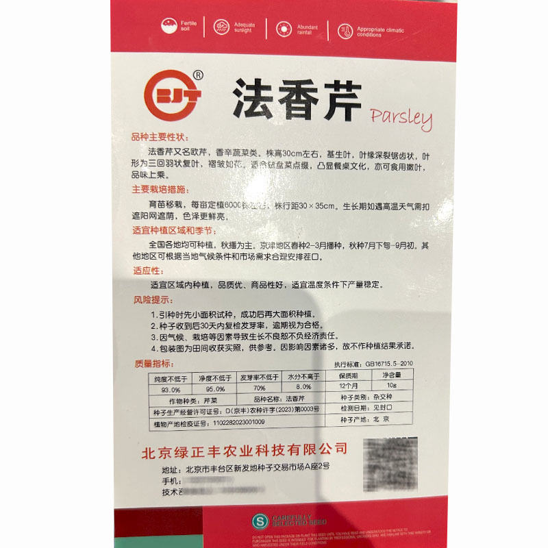 法香芹菜种子欧芹种子皱叶菜香味浓洋香芹四季种植