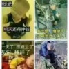 王小弟的一亩田店铺