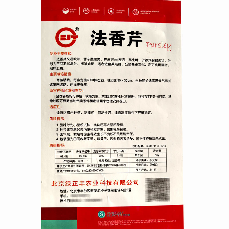 法香种子早熟多次采摘欧芹种子皱叶锯齿基地品种