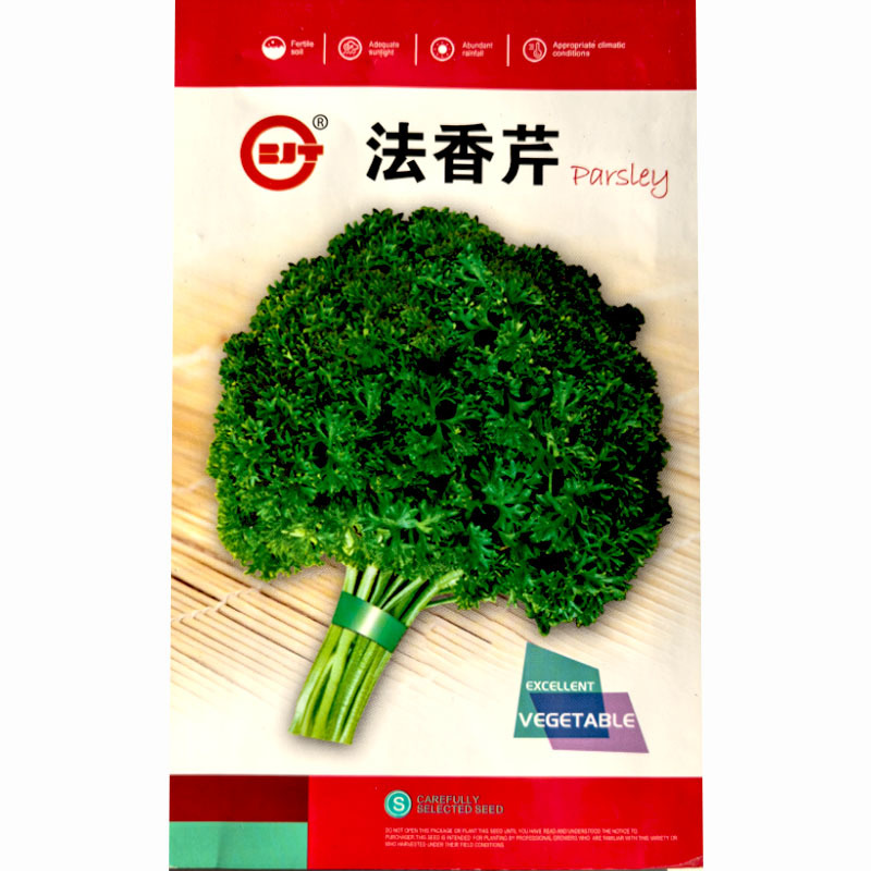 法香种子早熟多次采摘欧芹种子皱叶锯齿基地品种