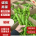 广东#鲜辣椒，螺丝椒，陇椒，产地直发，货源充足，现摘现发