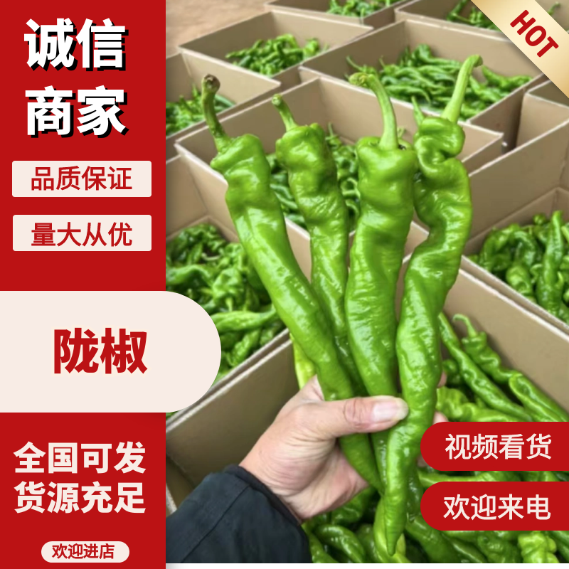广东#鲜辣椒，螺丝椒，陇椒，产地直发，货源充足，现摘现发