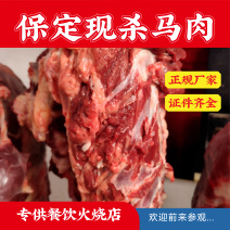 河北保定鲜马肉带皮马肉卤马肉批发