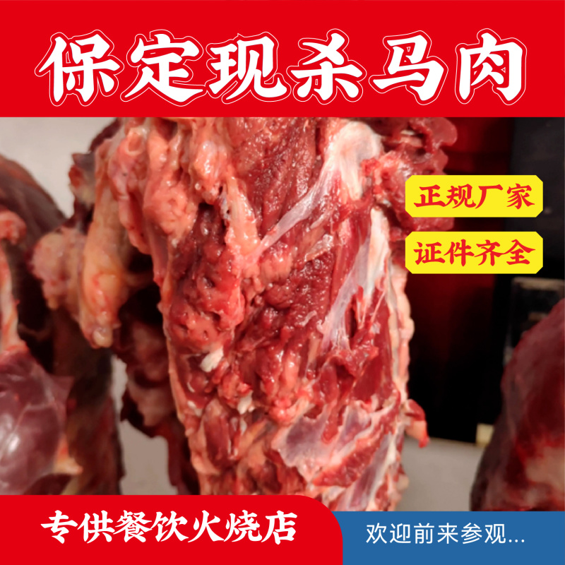 河北保定鲜马肉带皮马肉卤马肉批发