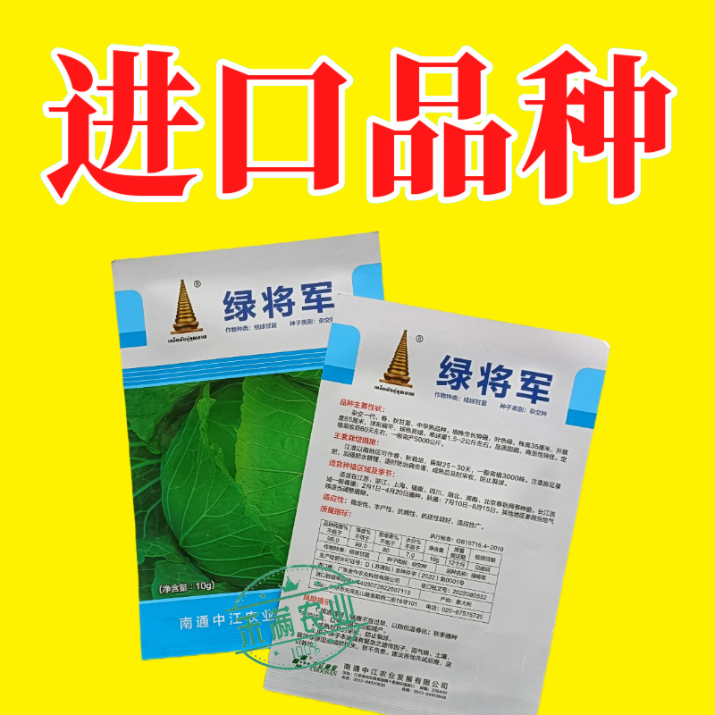 中江种业绿将军甘蓝种子进口春秋播种杂交高扁圆包心菜卷心菜