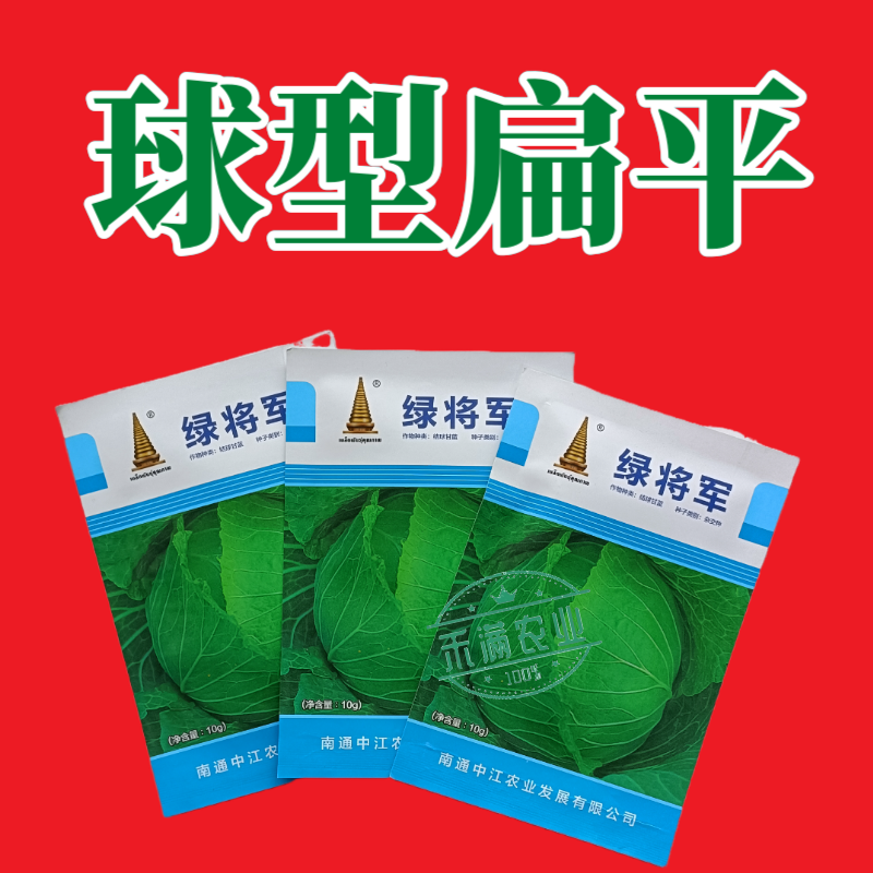 中江种业绿将军甘蓝种子进口春秋播种杂交高扁圆包心菜卷心菜