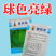 中江种业绿将军甘蓝种子进口春秋播种杂交高扁圆包心菜卷心菜