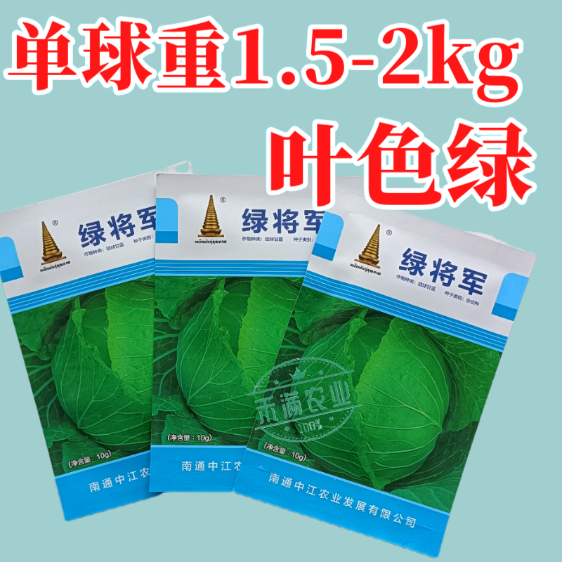 中江种业绿将军甘蓝种子进口春秋播种杂交高扁圆包心菜卷心菜