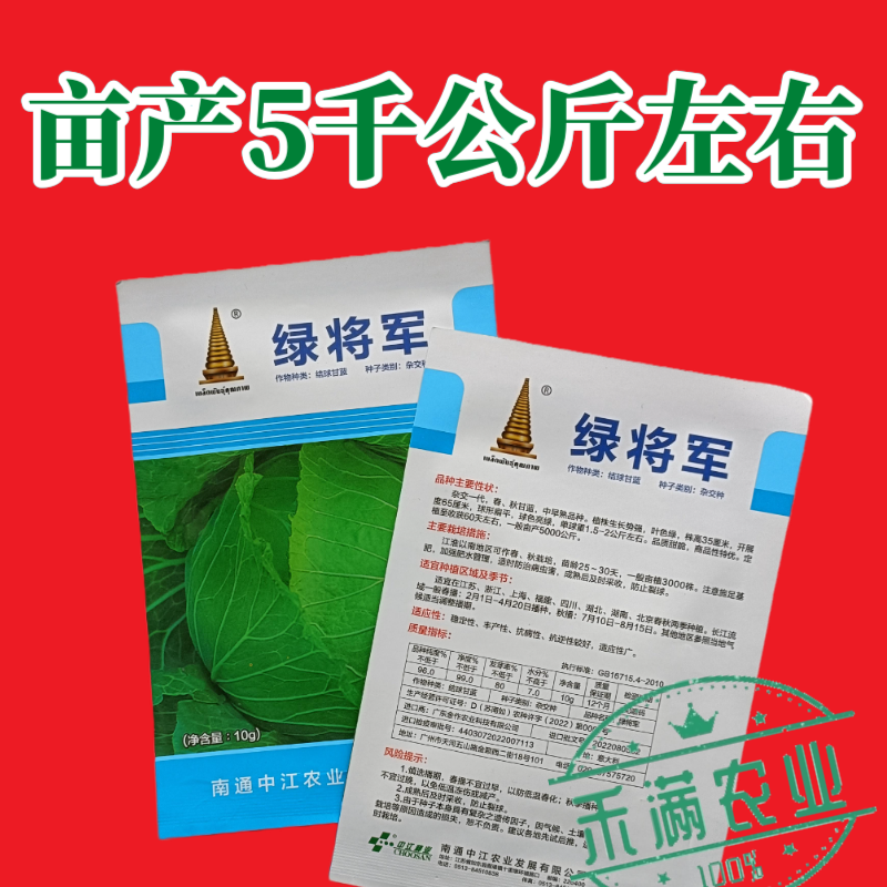 中江种业绿将军甘蓝种子进口春秋播种杂交高扁圆包心菜卷心菜