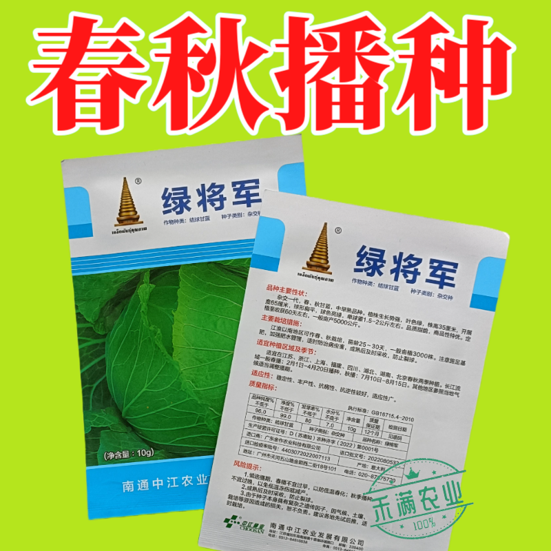 中江种业绿将军甘蓝种子进口春秋播种杂交高扁圆包心菜卷心菜