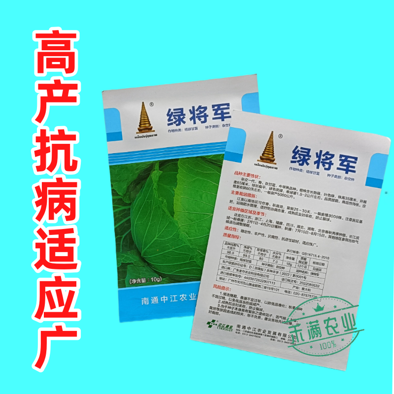 中江种业绿将军甘蓝种子进口春秋播种杂交高扁圆包心菜卷心菜