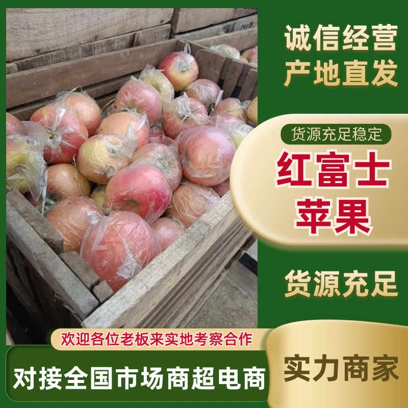 红富士苹果砀山苹果产地一手货源口感脆甜量大从优