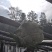白面青梗松花菜【松花菜】基地直供电商平台批发市场超市