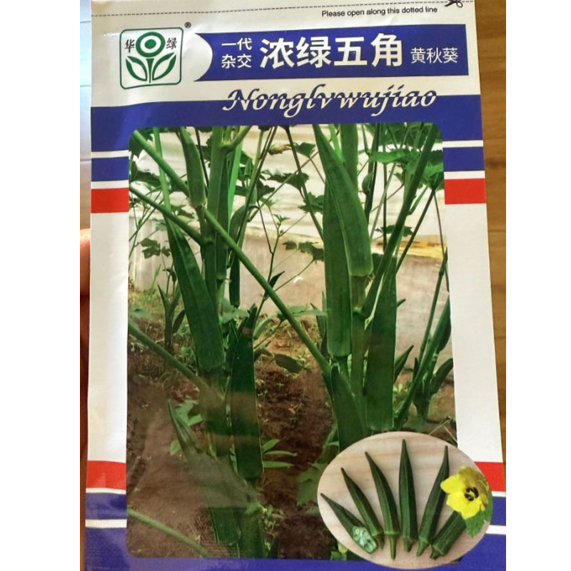 浓绿五角黄秋葵种子荚角浓绿细长五棱型结荚早脆嫩