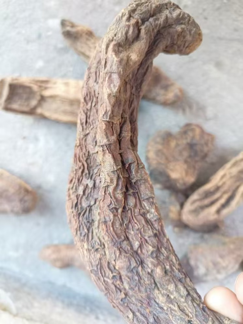 肉苁蓉真空包装西藏产地直发本地特产保证正品全国包邮