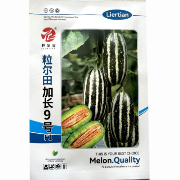 粒尔田9号甜瓜种子博洋9号薄皮品质好甜瓜种籽香瓜种子