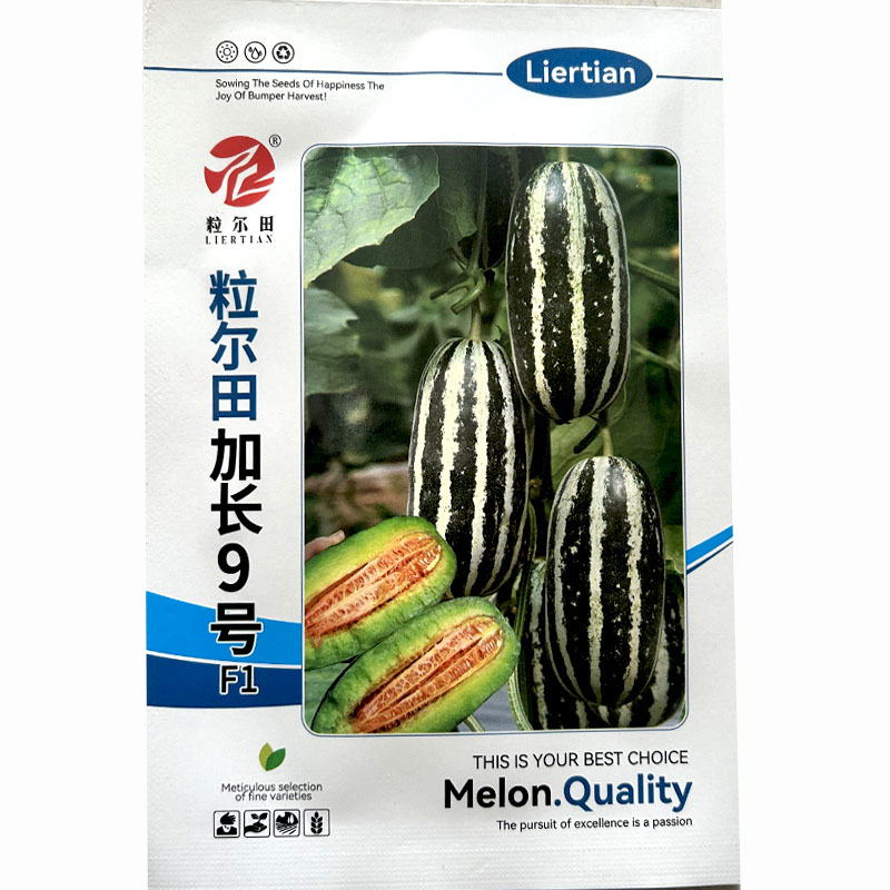 粒尔田9号甜瓜种子博洋9号薄皮品质好甜瓜种籽香瓜种子