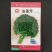 法香芹种子欧芹种子高产皱叶欧芹种子