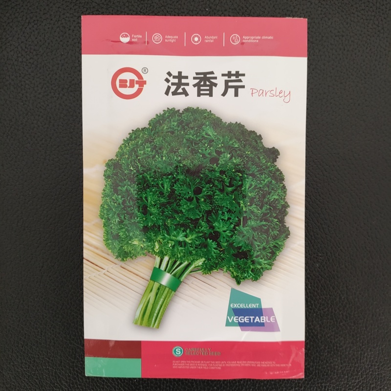 法香芹种子欧芹种子高产皱叶欧芹种子