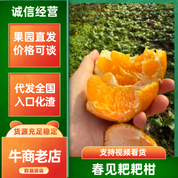 四川武胜耙耙柑,自家种植园，稳定供货，欢迎来购