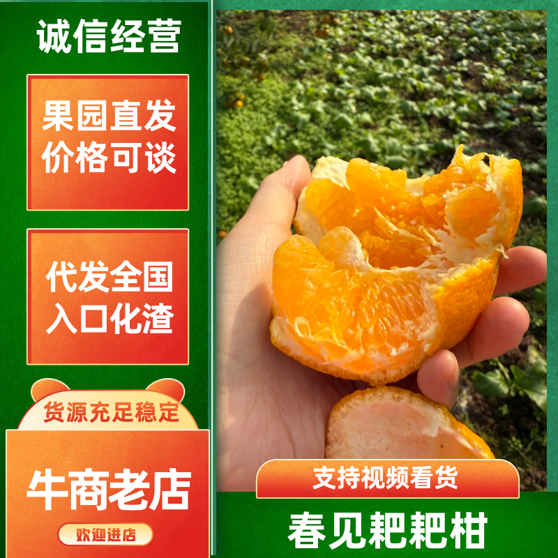 四川武胜耙耙柑,自家种植园，稳定供货，欢迎来购