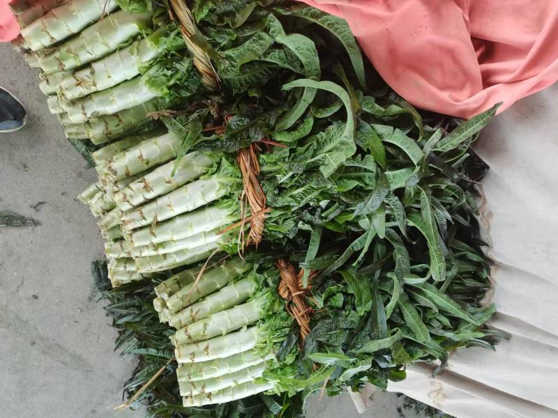 莴苣大量上市，基地代办！