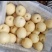 【种植户】雪梨河北赵县梨大量有货欢迎来电咨询