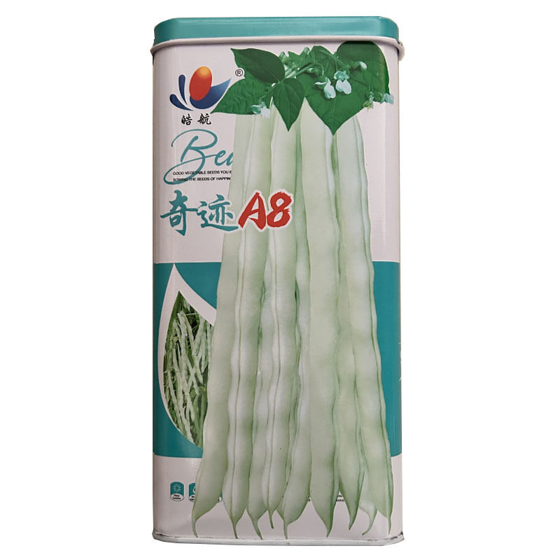 架豆王豆角种子