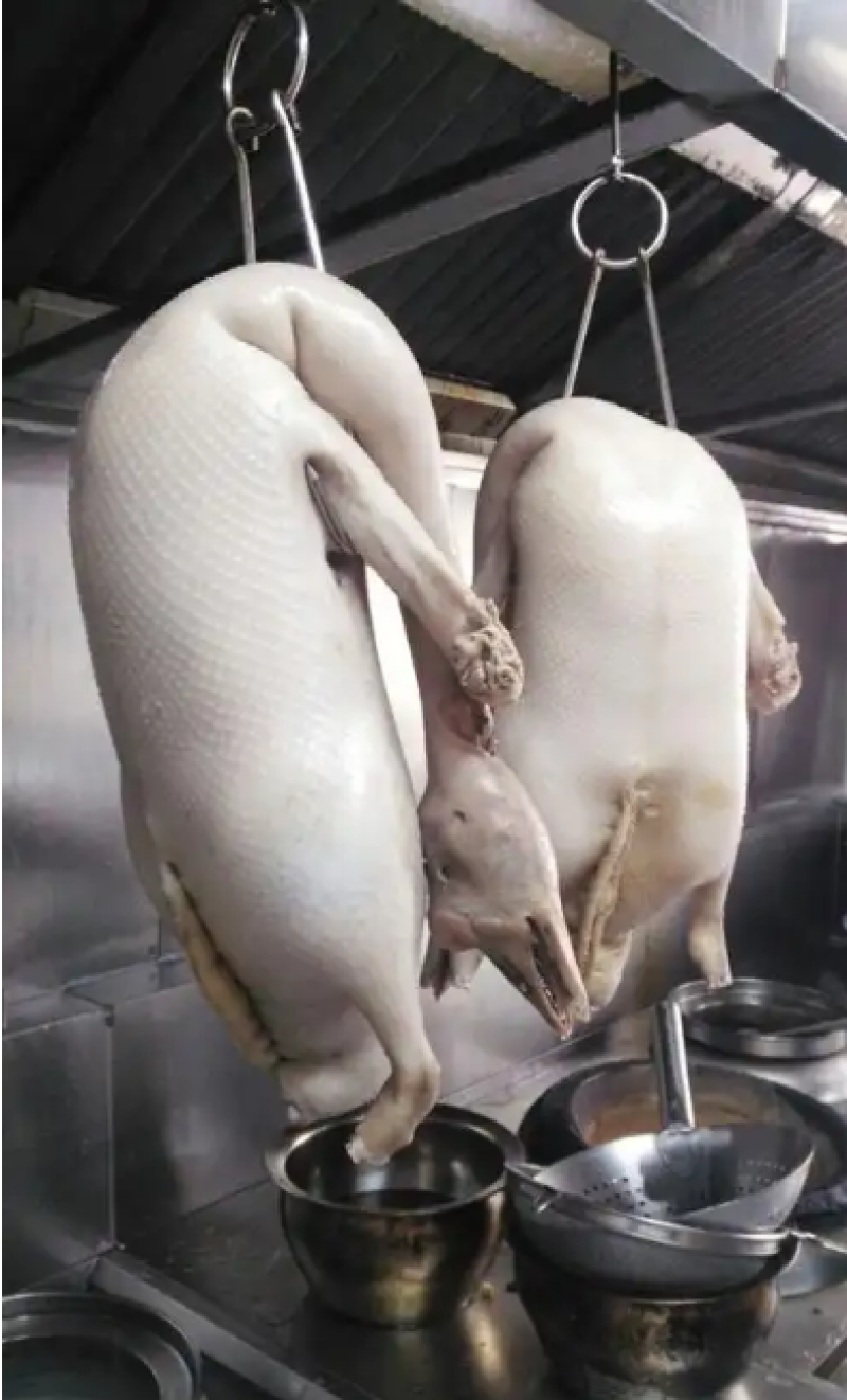 白条鹅新鲜黑棕鹏鹅胚精挑细选干净卫生可以按要求加工接餐饮