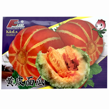 黄皮面瓜种子甜瓜种子红肉白籽水份少干面大田种植