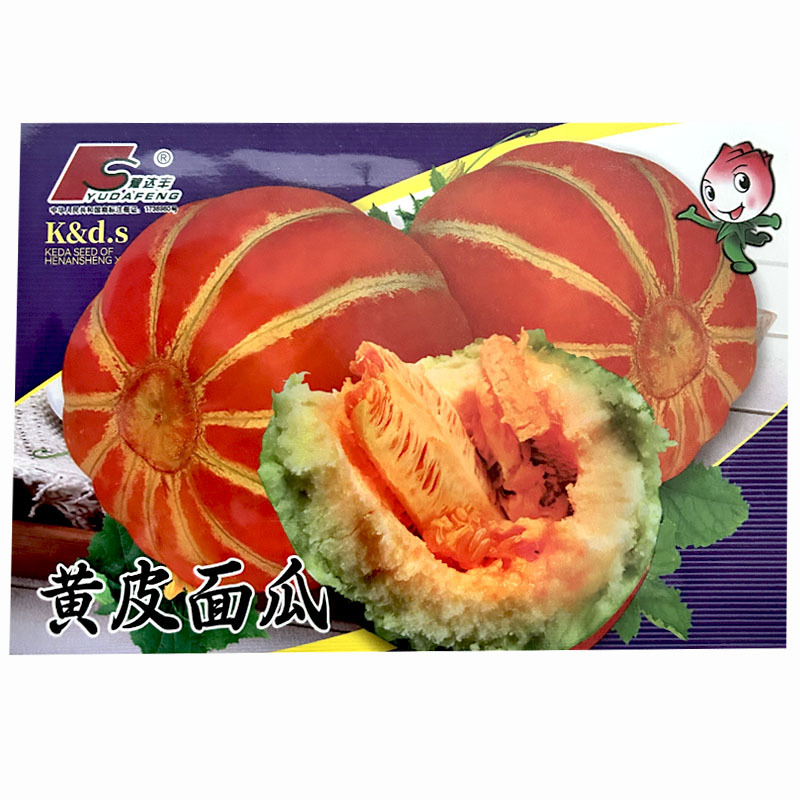 黄皮面瓜种子甜瓜种子红肉白籽水份少干面大田种植