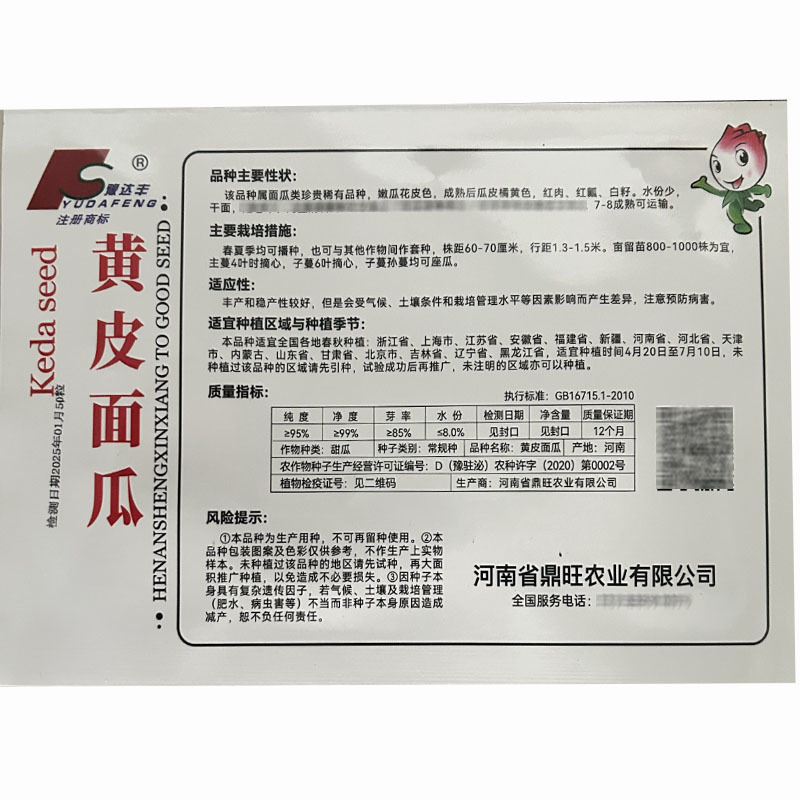 黄皮面瓜种子甜瓜种子红肉白籽水份少干面大田种植