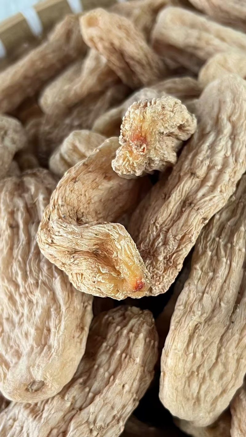 大别山金寨乌红天麻果无硫全干北纬31度深山珍贵药材
