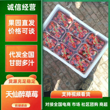 安徽基地天仙醉草莓奶油草莓加工果好货一手货源