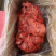 特级大块猪肉20斤/箱