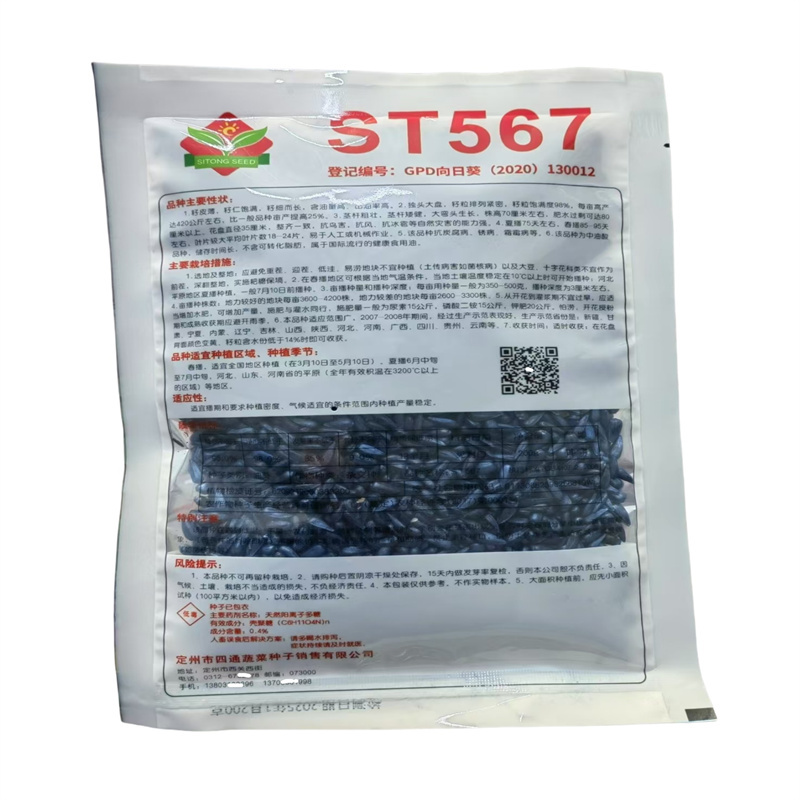 超级矮大头油葵种子ST567抗鸟害出油率高