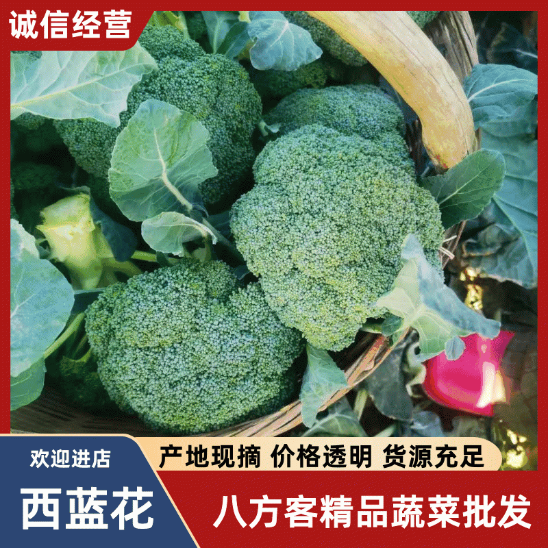 【出货快】西蓝花产地直发无虫眼无土质质量好进店咨询