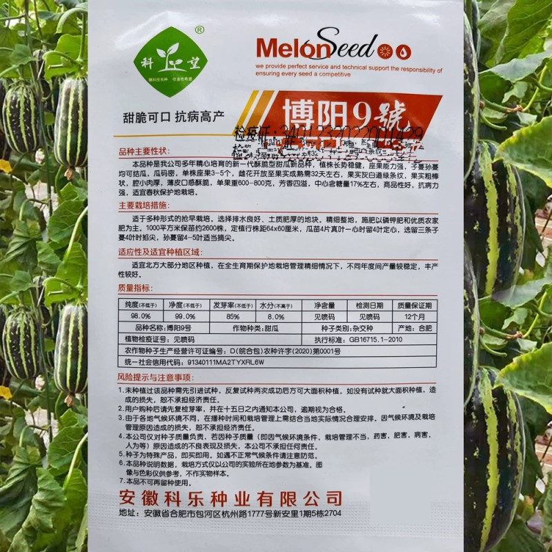 博阳9号甜瓜种子腔小肉厚薄皮口感酥脆芳香四溢
