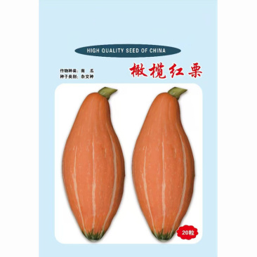 橄榄红栗南瓜种子蟹黄瓜甜面粉香甜早熟果肉红色