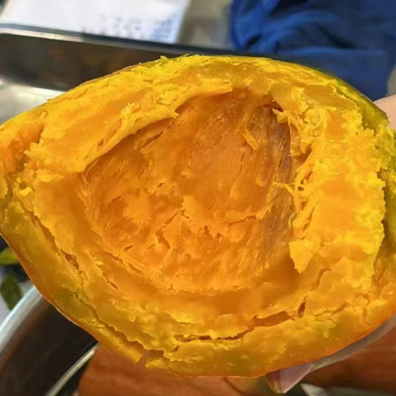 橄榄红栗南瓜种子蟹黄瓜甜面粉香甜早熟果肉红色