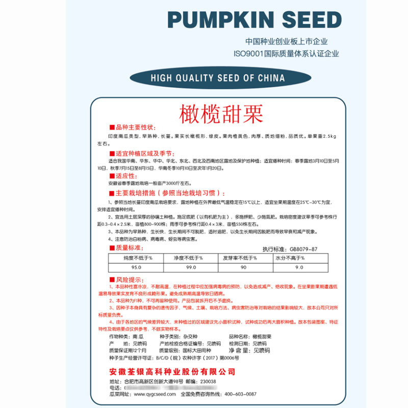 橄榄甜栗南瓜种子流星锤早熟绿皮肉厚露地基地品种