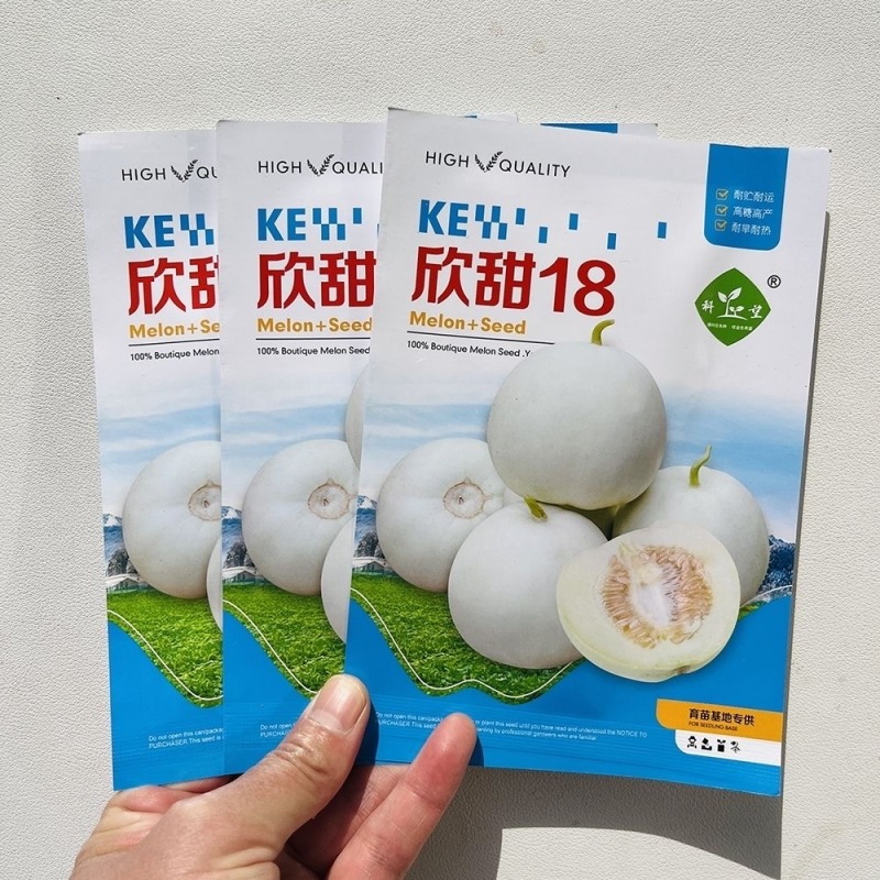 欣甜18甜瓜种子早熟皮薄肉脆白皮白肉瓜码密易坐果