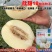 欣甜18甜瓜种子早熟皮薄肉脆白皮白肉瓜码密易坐果